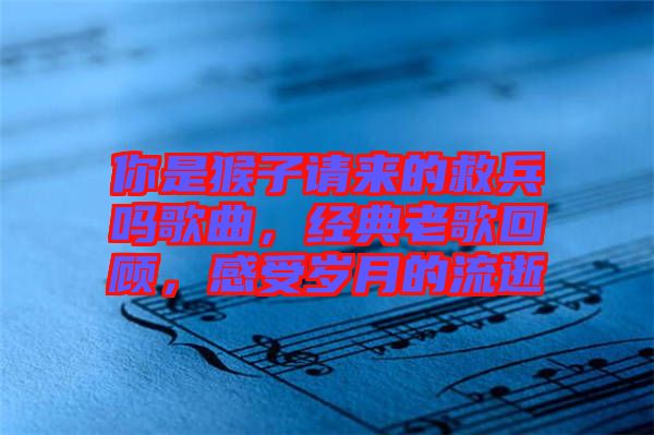 你是猴子請來的救兵嗎歌曲，經(jīng)典老歌回顧，感受歲月的流逝