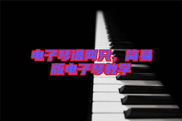 電子琴譜兩只，簡易版電子琴教學