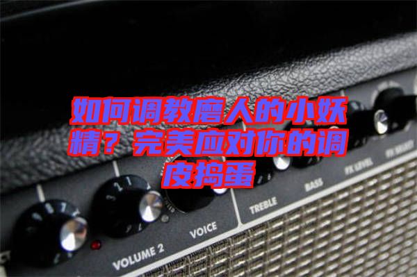 如何調(diào)教磨人的小妖精？完美應對你的調(diào)皮搗蛋