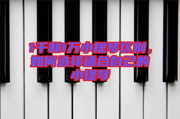 1千和1萬小提琴區(qū)別，如何選擇適合自己的小提琴