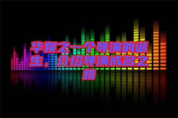 華娛之一個導(dǎo)演的誕生，介紹導(dǎo)演成名之路