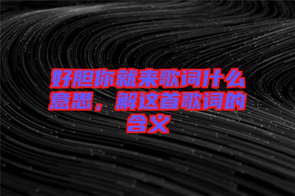 好膽你就來歌詞什么意思，解這首歌詞的含義
