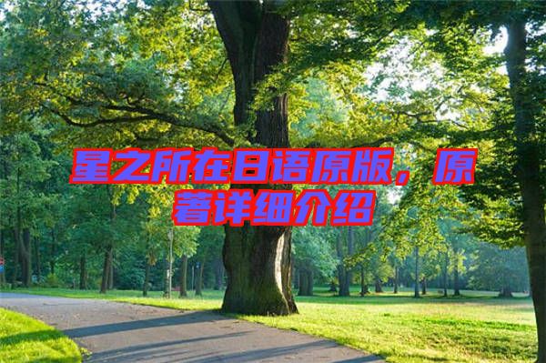 星之所在日語原版，原著詳細(xì)介紹