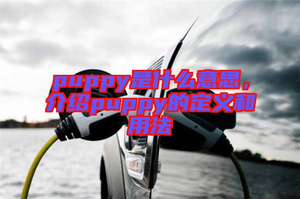 puppy是什么意思，介紹puppy的定義和用法