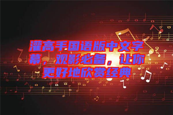 灌高手國語版中文字幕，觀影必備，讓你更好地欣賞經(jīng)典