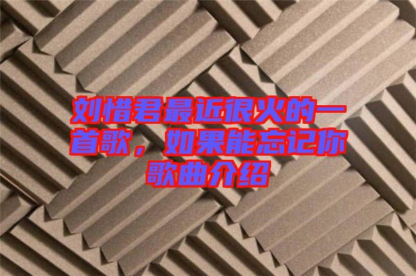 劉惜君最近很火的一首歌，如果能忘記你歌曲介紹
