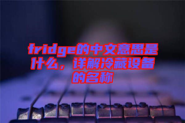 fridge的中文意思是什么，詳解冷藏設(shè)備的名稱