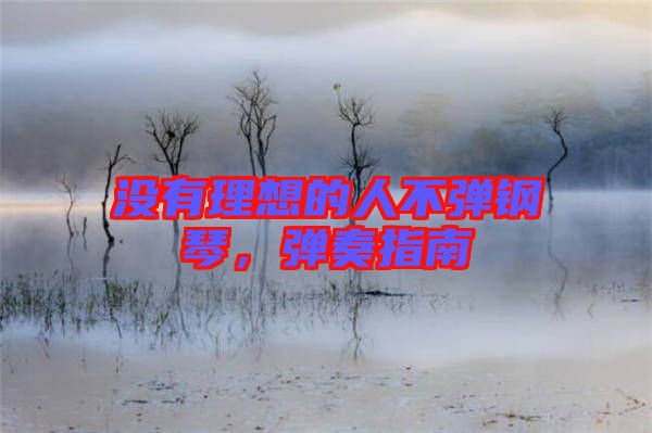 沒有理想的人不彈鋼琴，彈奏指南