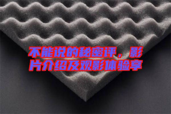 不能說(shuō)的秘密評(píng)，影片介紹及觀影體驗(yàn)享