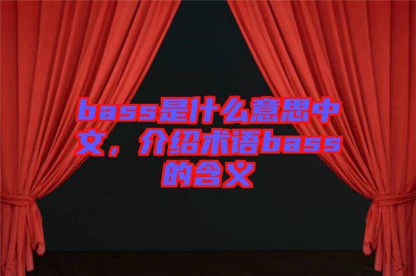 bass是什么意思中文，介紹術(shù)語bass的含義