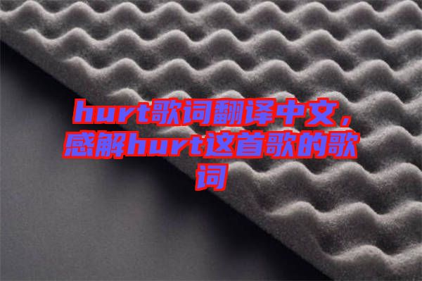 hurt歌詞翻譯中文，感解hurt這首歌的歌詞