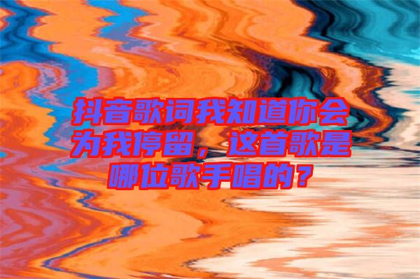 抖音歌詞我知道你會為我停留，這首歌是哪位歌手唱的？