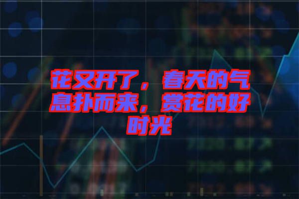 花又開了，春天的氣息撲而來，賞花的好時光