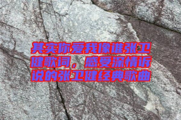其實(shí)你愛我像誰張衛(wèi)健歌詞，感受深情訴說的張衛(wèi)健經(jīng)典歌曲