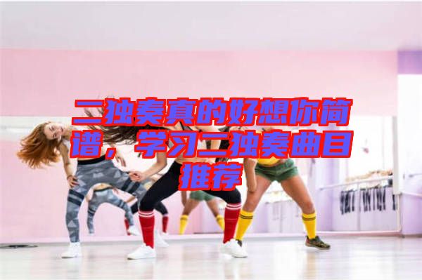 二獨奏真的好想你簡譜，學(xué)習(xí)二獨奏曲目推薦