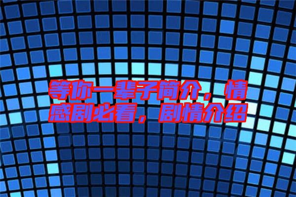 等你一輩子簡介，情感劇必看，劇情介紹