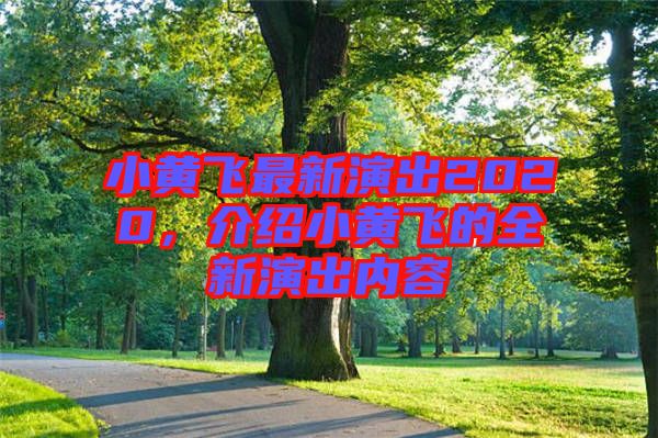小黃飛最新演出2020，介紹小黃飛的全新演出內(nèi)容
