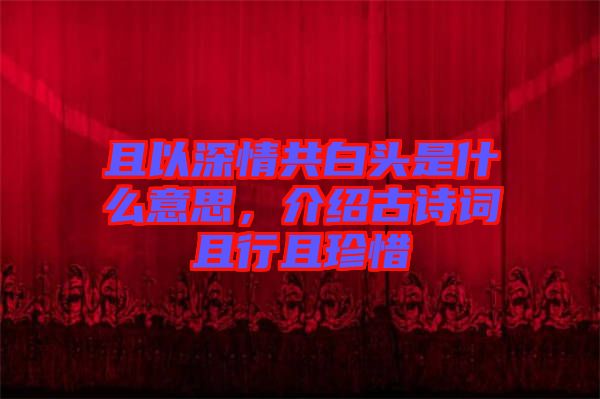 且以深情共白頭是什么意思，介紹古詩(shī)詞且行且珍惜