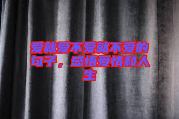 愛就愛不愛就不愛的句子，感悟愛情和人生