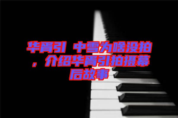 華胥引柸中雪為啥沒拍，介紹華胥引拍攝幕后故事