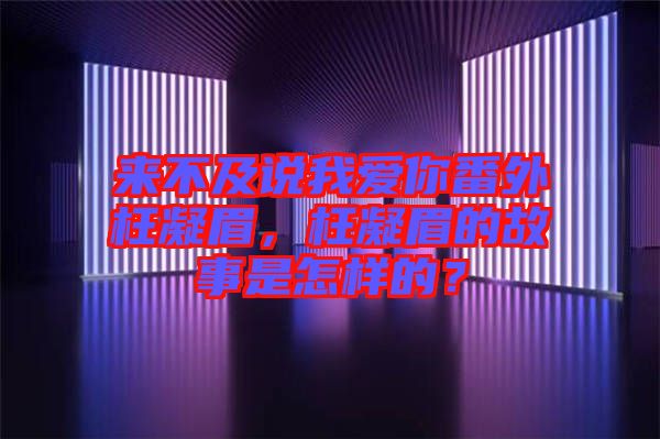 來不及說我愛你番外枉凝眉，枉凝眉的故事是怎樣的？