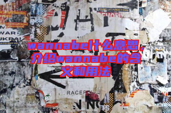 wannabe什么意思，介紹wannabe的含義和用法