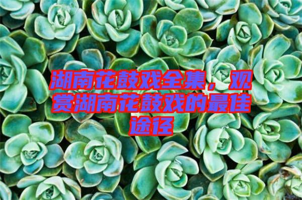 湖南花鼓戲全集，觀賞湖南花鼓戲的最佳途徑