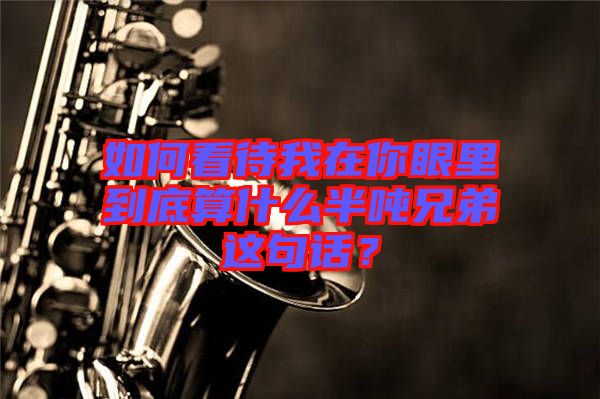 如何看待我在你眼里到底算什么半噸兄弟這句話？
