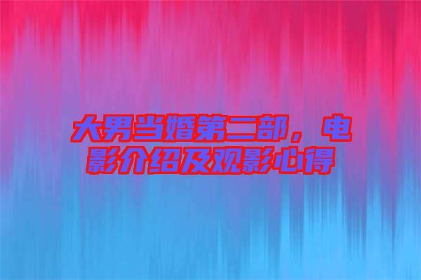 大男當(dāng)婚第二部，電影介紹及觀影心得