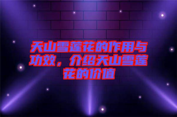 天山雪蓮花的作用與功效，介紹天山雪蓮花的價(jià)值