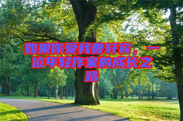 如果你愛我曹軒賓，一位年輕作家的成長之路