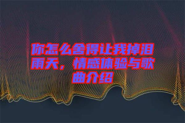 你怎么舍得讓我掉淚雨天，情感體驗與歌曲介紹