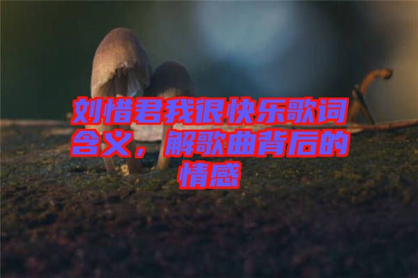 劉惜君我很快樂歌詞含義，解歌曲背后的情感