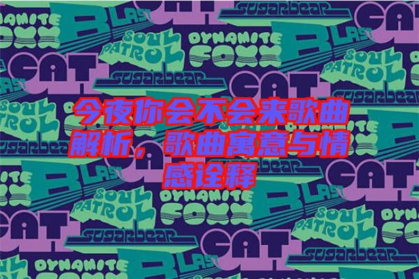 今夜你會(huì)不會(huì)來歌曲解析，歌曲寓意與情感詮釋