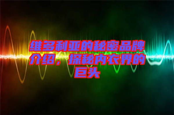 維多利亞的秘密品牌介紹，探秘內(nèi)衣界的巨頭