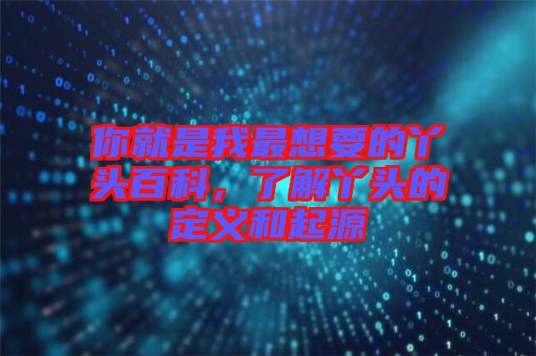 你就是我最想要的丫頭百科，了解丫頭的定義和起源