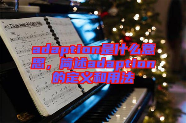 adaption是什么意思，簡(jiǎn)述adaption的定義和用法