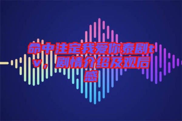 命中注定我愛你泰劇tv，劇情介紹及觀后感