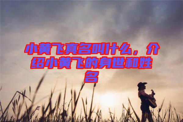 小黃飛真名叫什么，介紹小黃飛的身世和姓名