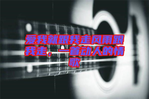 愛我就跟我走風雨跟我走，一首動人的情歌