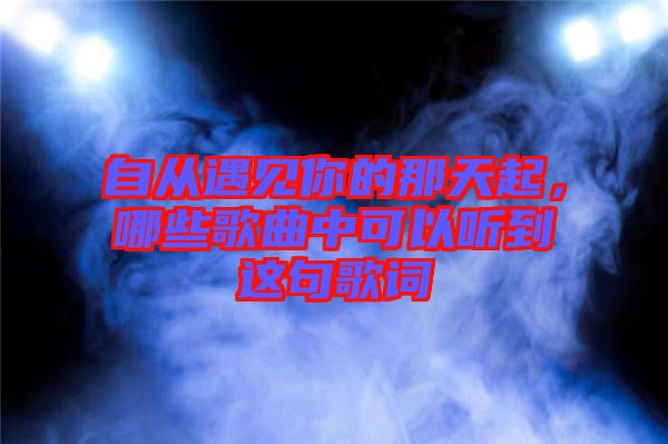 自從遇見你的那天起，哪些歌曲中可以聽到這句歌詞
