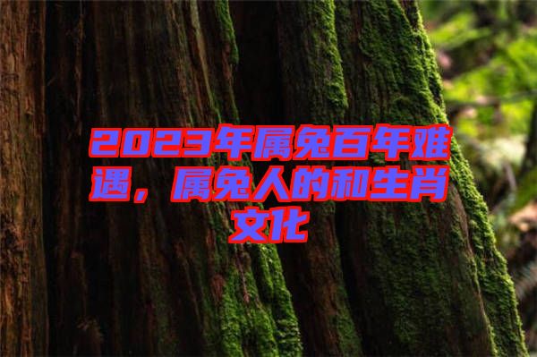 2023年屬兔百年難遇，屬兔人的和生肖文化