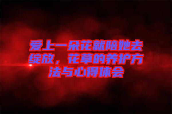 愛上一朵花就陪她去綻放，花草的養(yǎng)護方法與心得體會