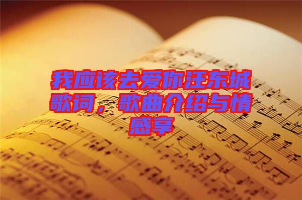 我應該去愛你汪東城歌詞，歌曲介紹與情感享