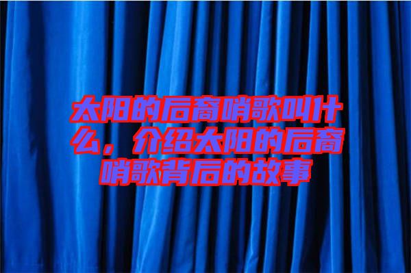 太陽的后裔哨歌叫什么，介紹太陽的后裔哨歌背后的故事