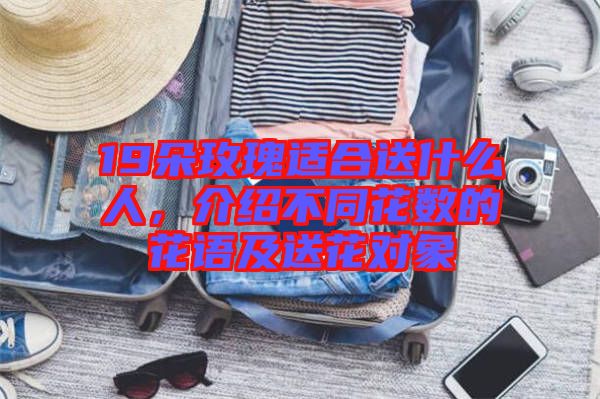19朵玫瑰適合送什么人，介紹不同花數(shù)的花語及送花對象