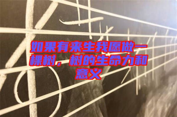 如果有來(lái)生我愿做一棵樹(shù)，樹(shù)的生命力和意義