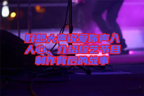 好想大聲說(shuō)愛(ài)你聲入人心，介紹綜藝節(jié)目制作背后的故事