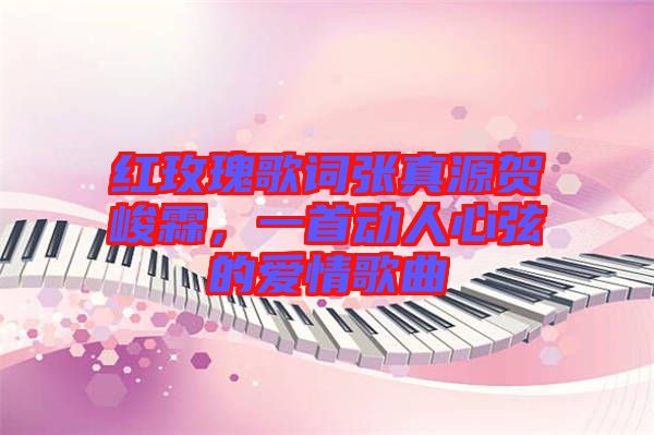 紅玫瑰歌詞張真源賀峻霖，一首動人心弦的愛情歌曲
