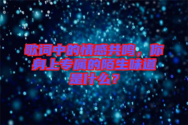 歌詞中的情感共鳴，你身上專屬的陌生味道是什么？